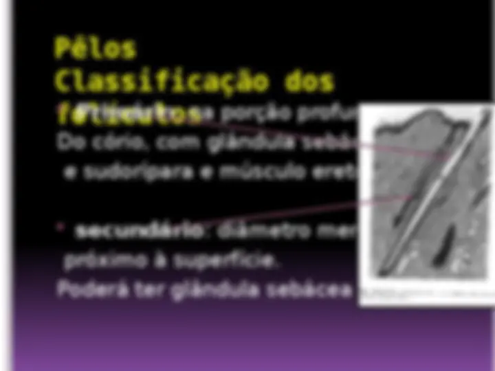 pf13