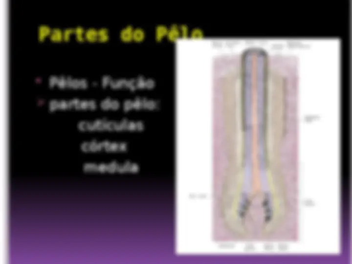 pf12