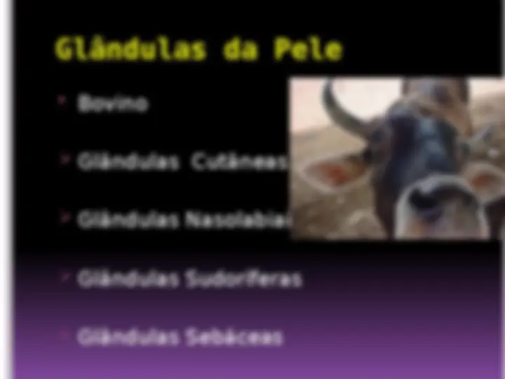 pff