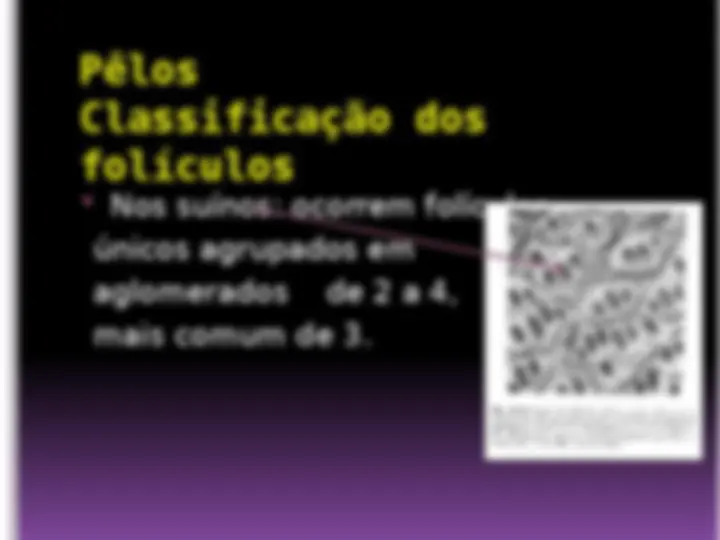 pf15