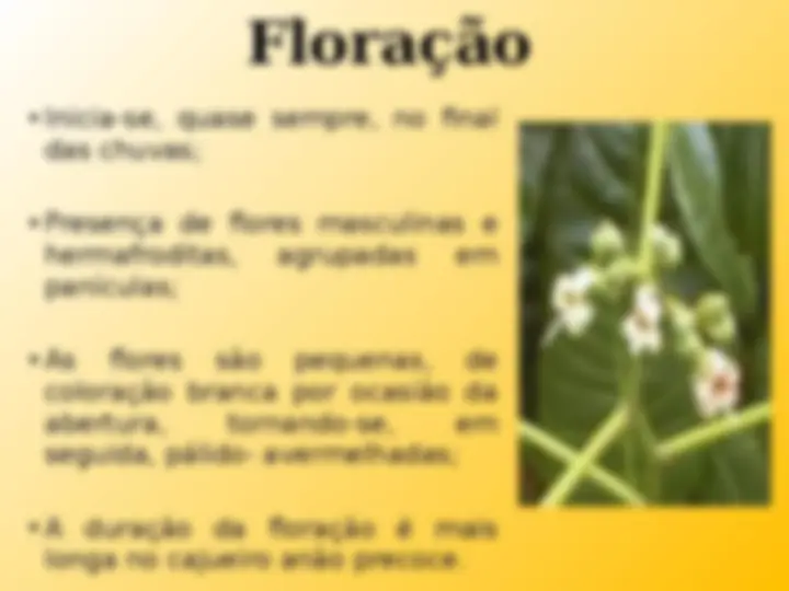 pfa