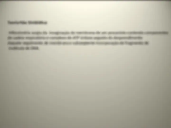 pfe