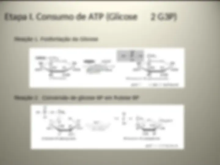 pf17