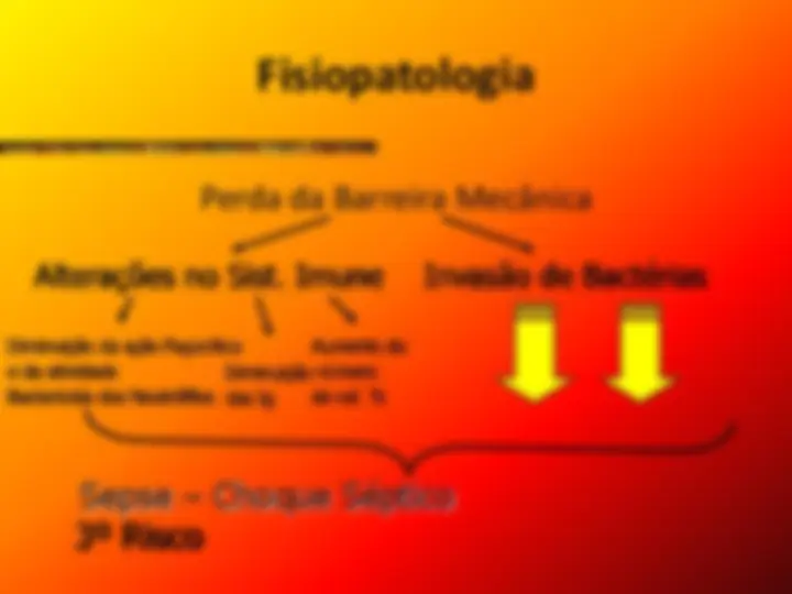 pf19