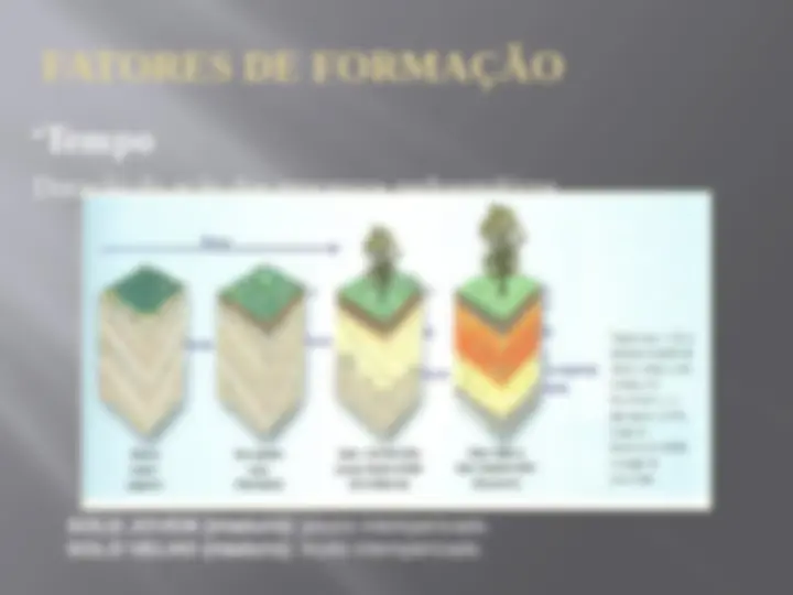 pf13
