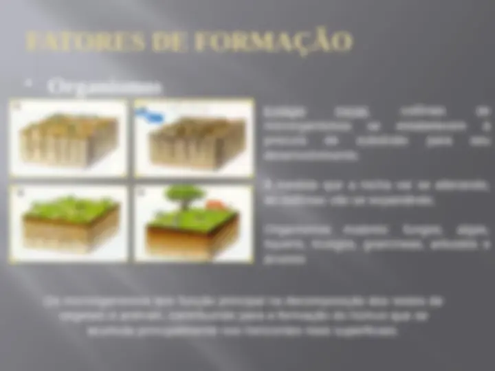 pfe