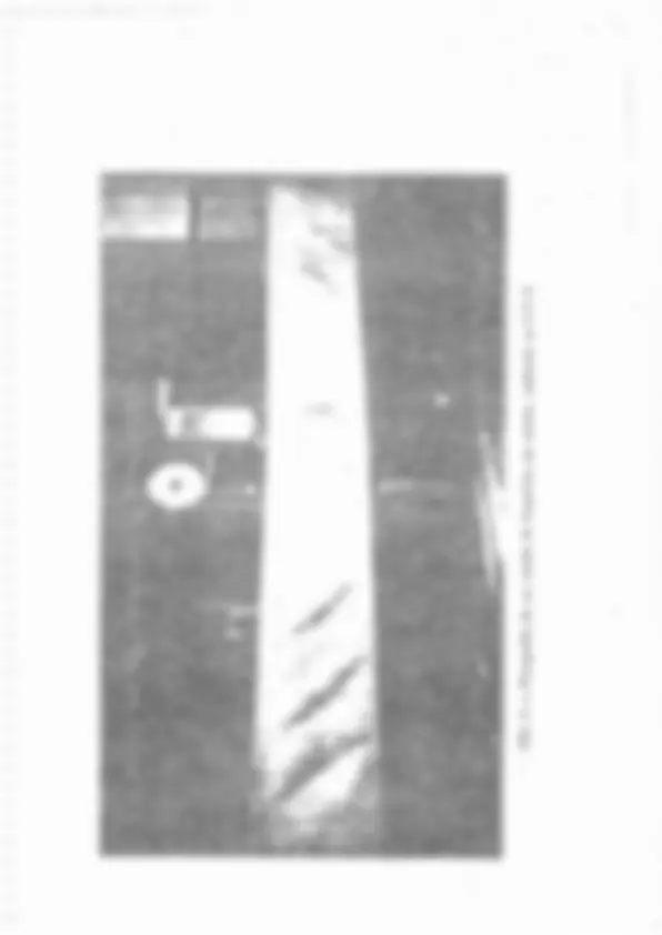pf28