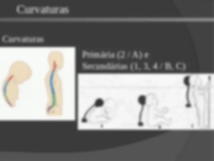 pf5