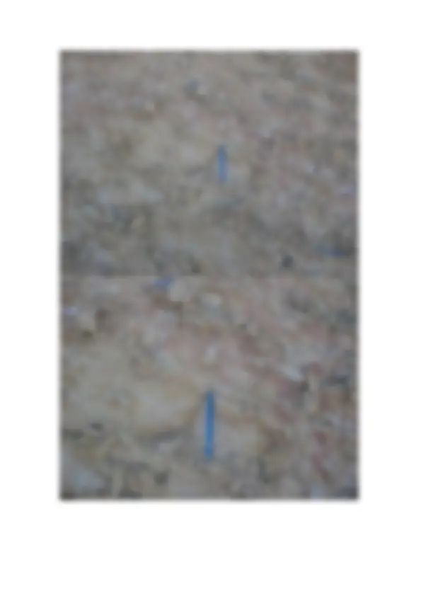 pf12