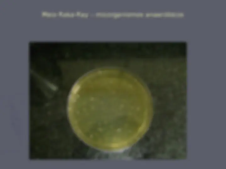 pf2e