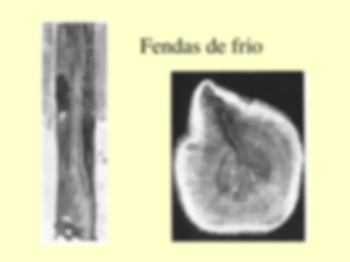 pf38