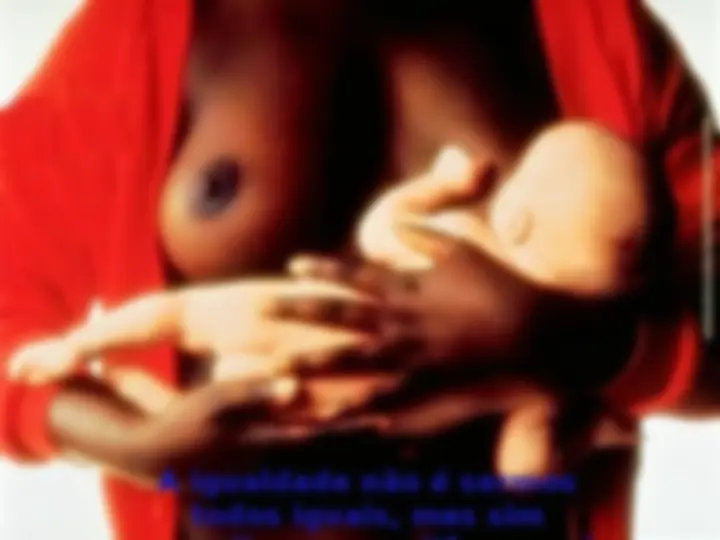 pf24