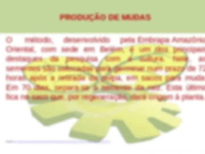 pf19