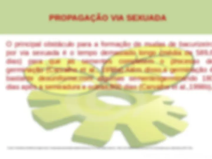 pf13