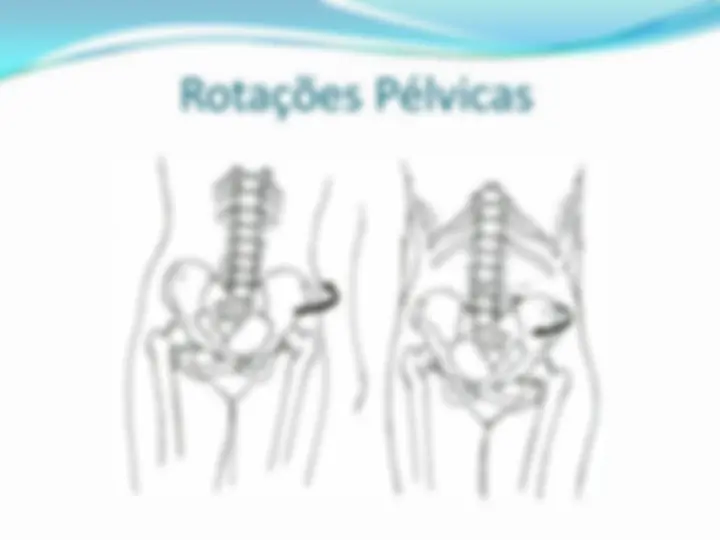 pf29