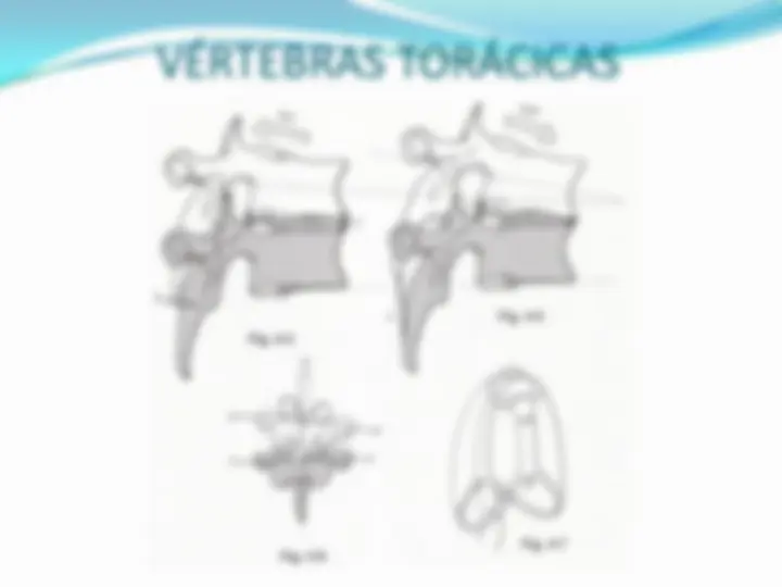 pf13