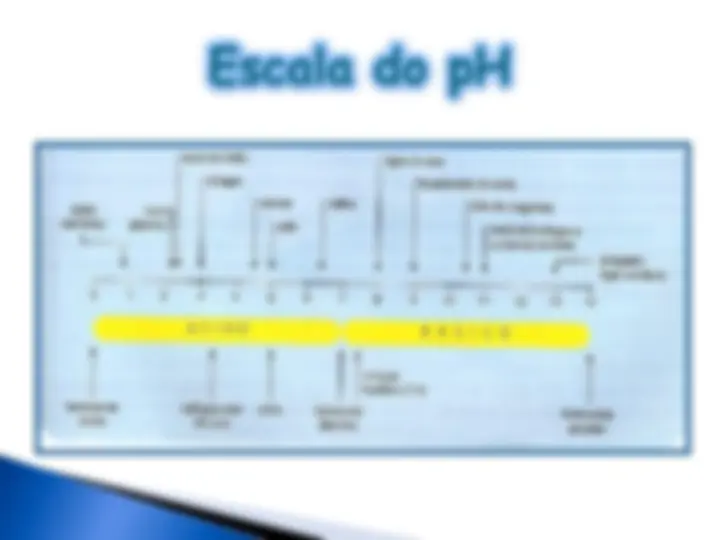pf20