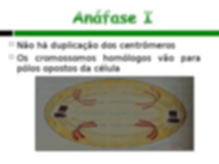pf13