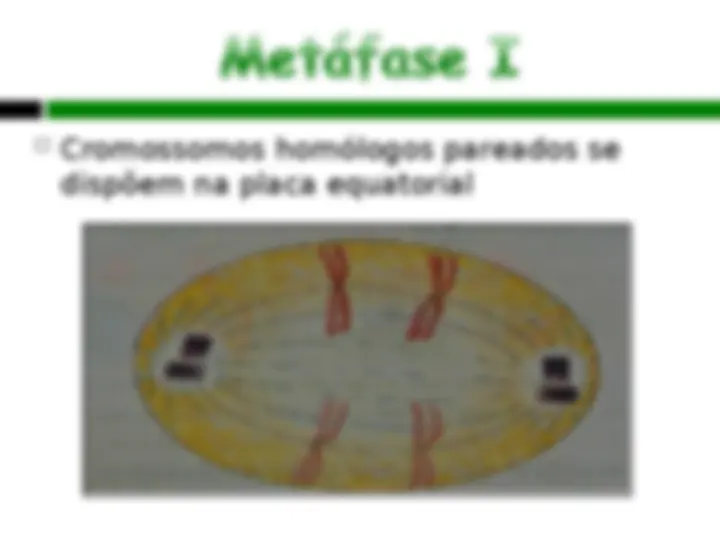 pf12