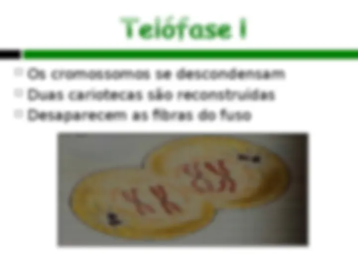 pf14