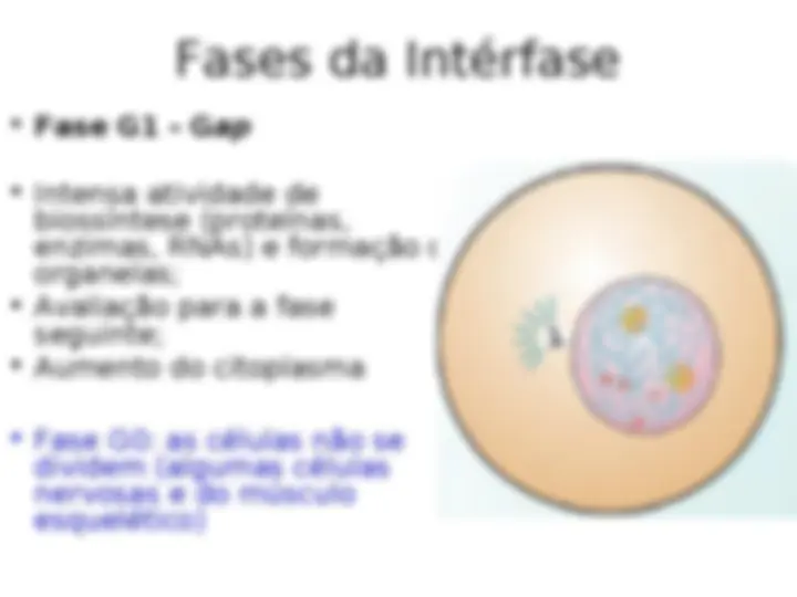 pf5