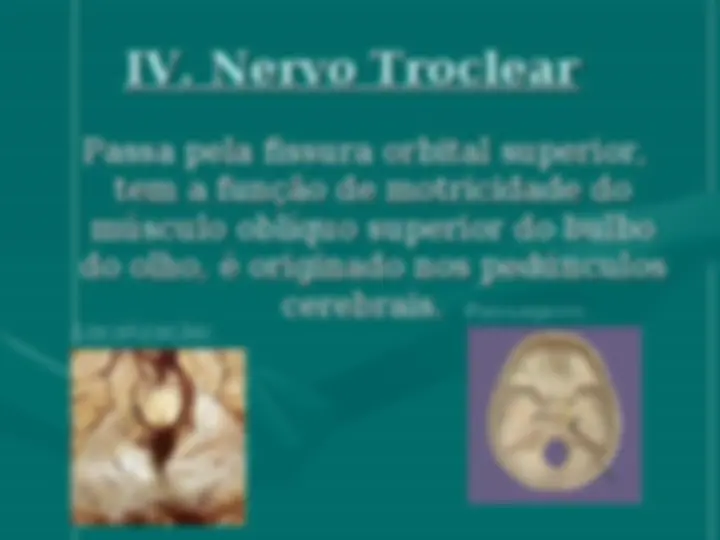 pff