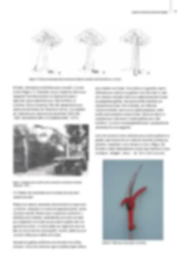 pf9