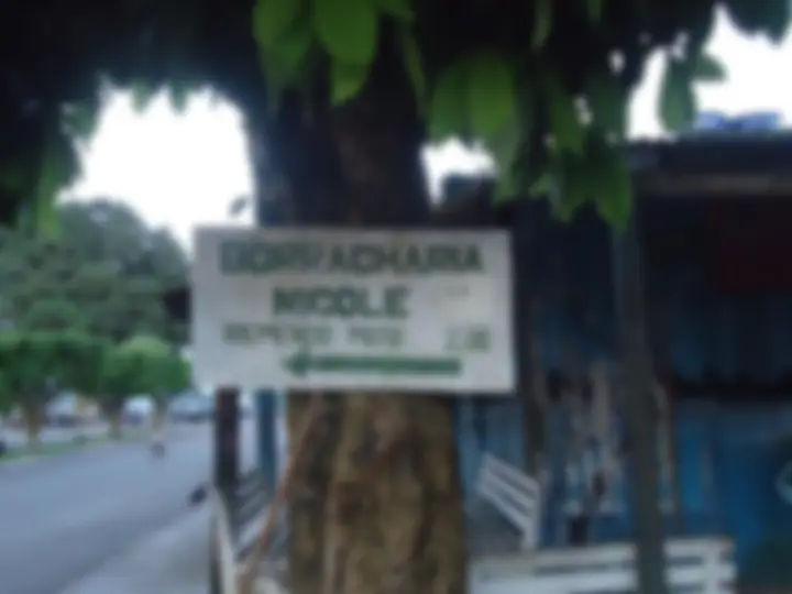 pf1d