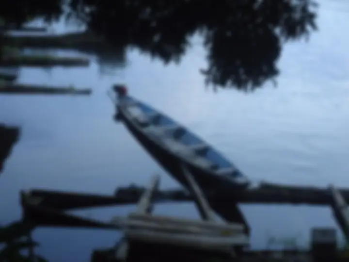 pf4