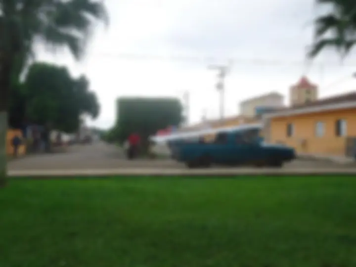 pf29