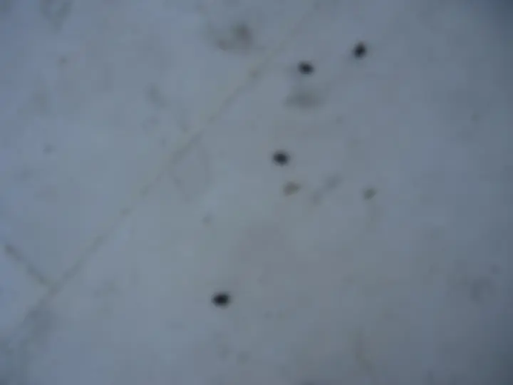 pf1c