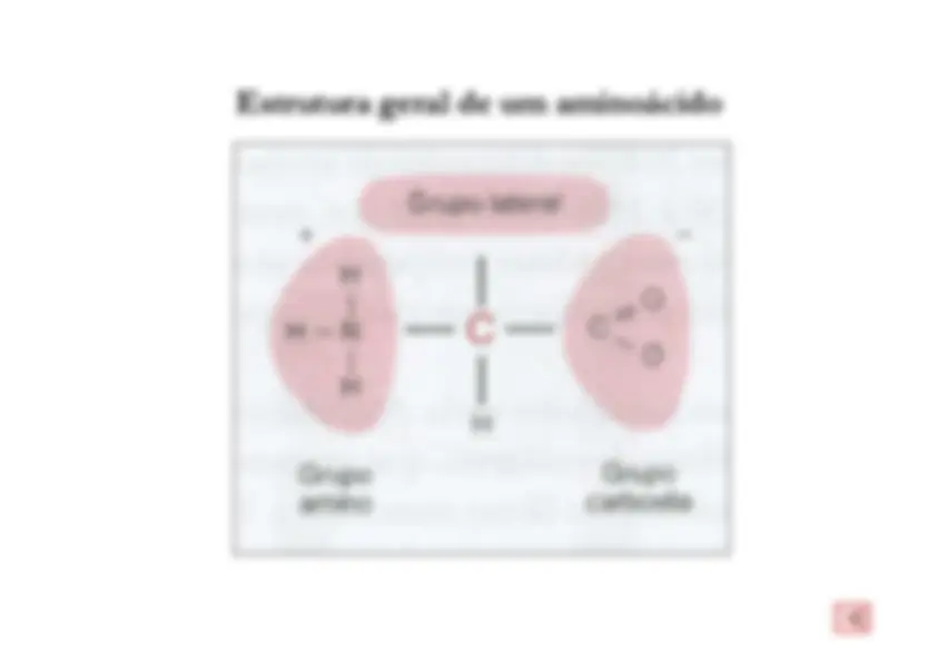 pf21