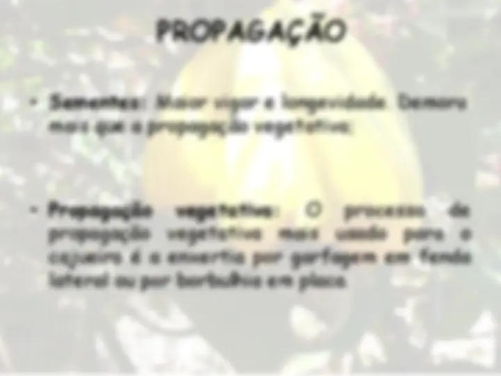 pfe