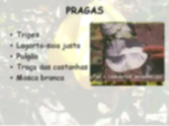 pf13