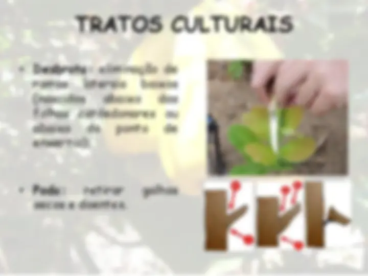 pf12