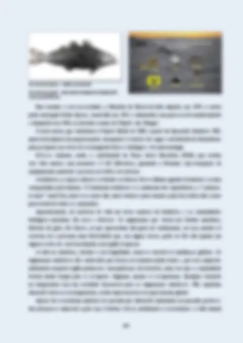 pf21