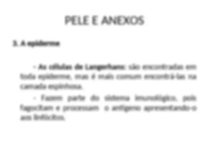 pfe