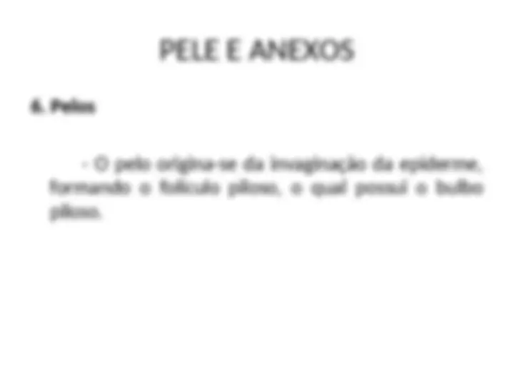 pf13