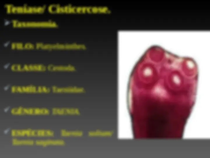 pf4