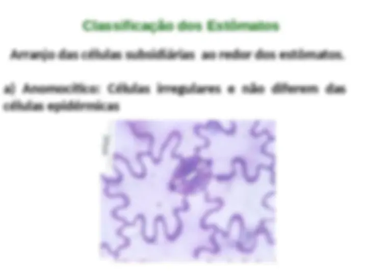 pf14