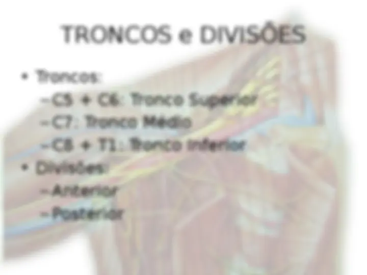 pf5