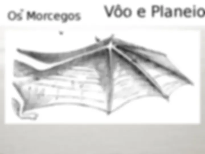 pf13