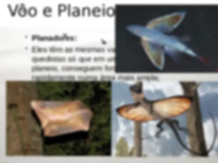 pf8