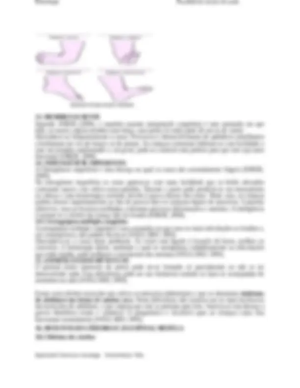 pf18