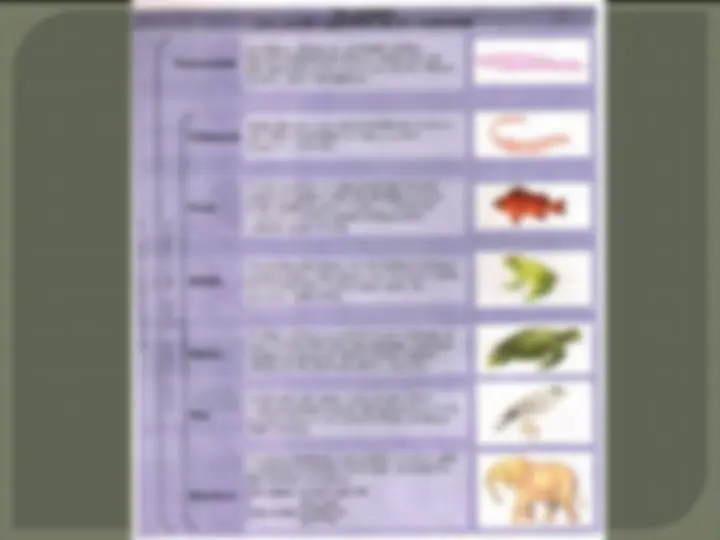 pf20