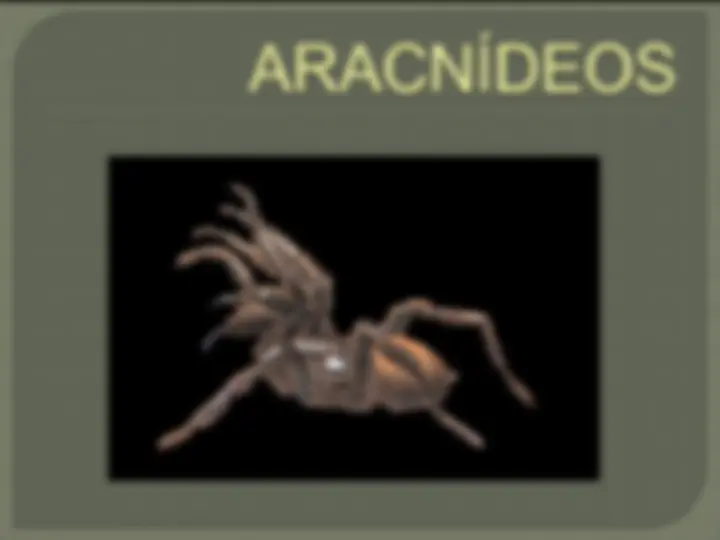 pf1d