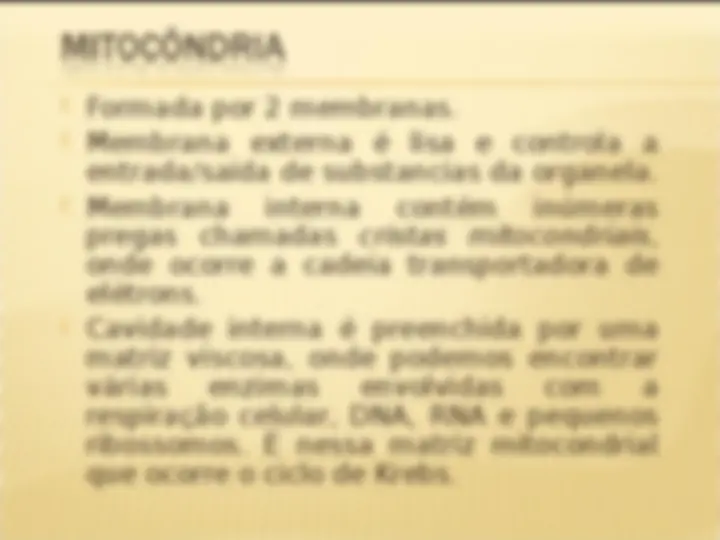 pf19