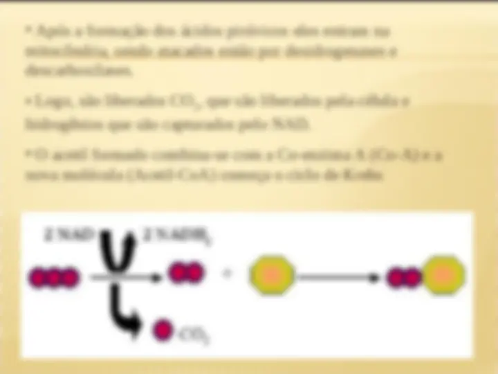 pf1c