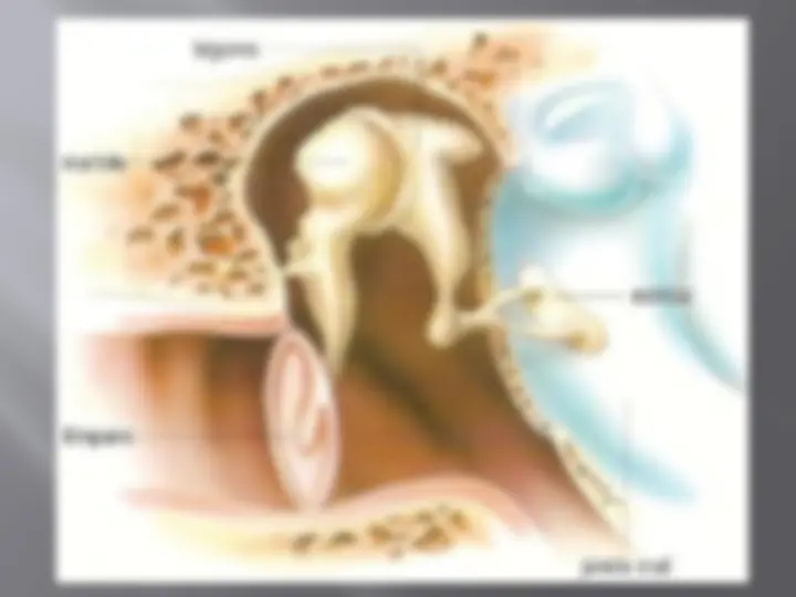 pfa