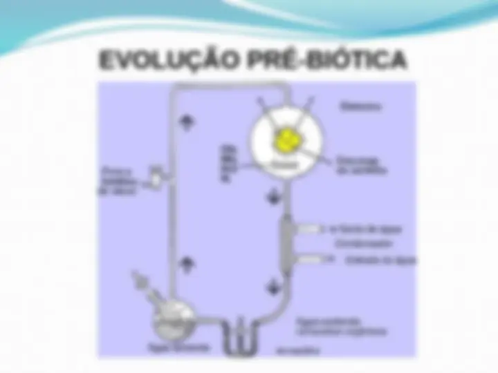 pff